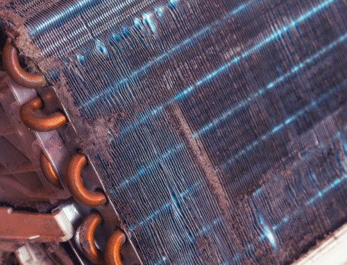 Understanding the Impact of Biofilm on HVAC Systems and How to Prevent It