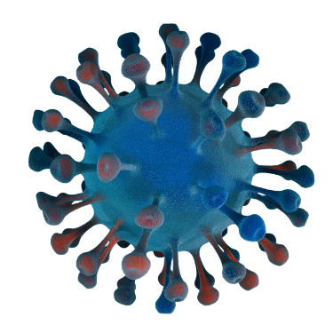 image of a COVID cell
